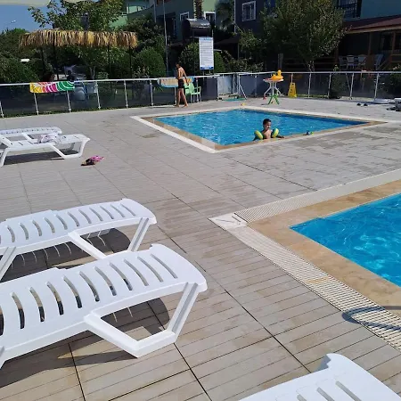 Starfish * كوشاداسيه